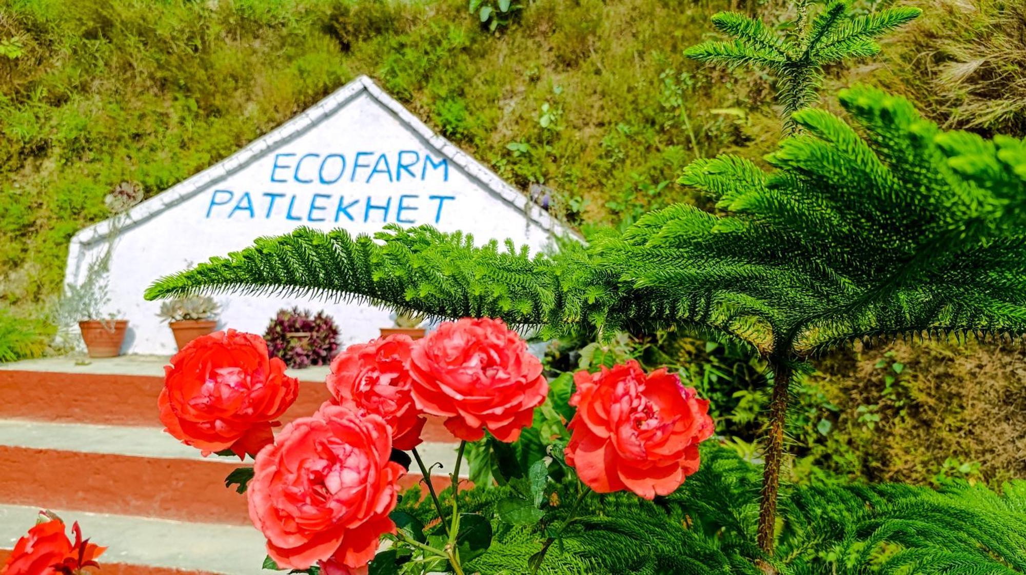 Patlekhet Eco Farmhouse Дхуликхел Экстерьер фото